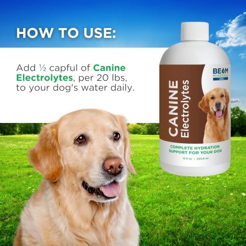 BEAM Minerals Complete Canine Electrolytes | 12 fl Oz - Image 4