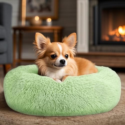 Dogs Bed for Small Dogs, Anti-Anxiety Washable Round Bed (24in Green) - Image 5