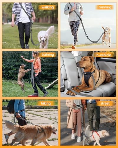 Hands Free Dog Leash, Multifunctional Crossbody Dog Leash - Image 3