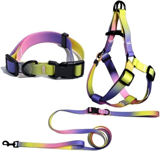 Dog Harness Collar and Leash Set, Adjustable Walking Vest for Dogs by Unknown
