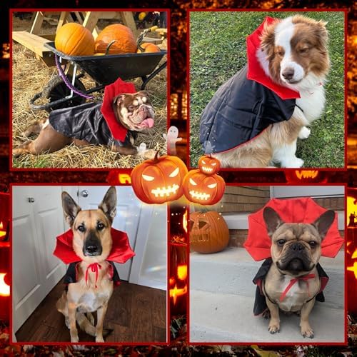 GOYOSWA Dog Halloween Costumes, Dog Vampire Devil Cloak Cape Costume Halloween Costumes for Small Medium Large Dogs Pets (Large) - Image 5