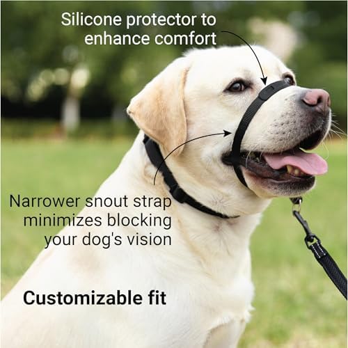 SVD.PET No-Pull Dog Headcollar for Easier Walks, Chew-Proof Protector to Increase Comfort, Simple Design, Easy to Wear and Adjust (Large Size for Medium and Large Size Dogs, Pink) - Image 3