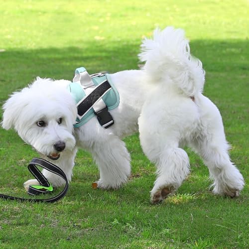 Bolux Dog Harness, No-Pull Reflective Dog Vest, Breathable Adjustable Pet Harness with Handle for Outdoor Walking - No More Pulling, Tugging or Choking - Image 6