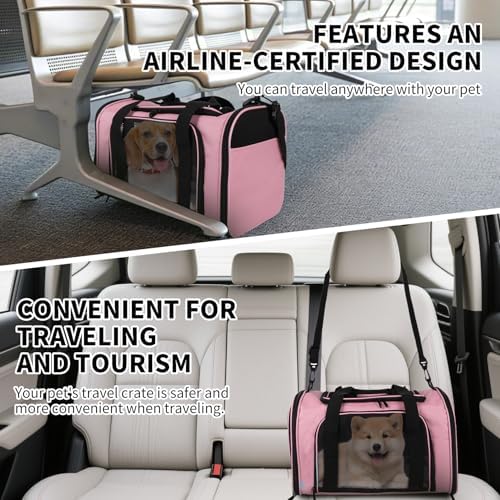 Cat Carriers Soft-Sided,Pet Carrier for Small Cats Dogs Puppies up to 1-15 LBS,TSA Airline Approved, (Medium,Pink) - Image 6