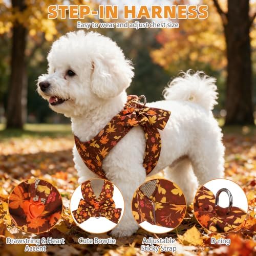 KOOLTAIL Fall Dog Harness and Leash Set for Small Medium Dogs,Thanksgiving Cute Puppy Vest Harness with Bowtie, Step in No Pull Soft Mesh Padded Adjustable Harness for Pet Cat Boy Girl, Maple Leaf - Image 2