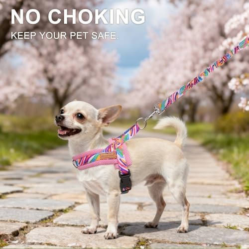 BEAUTYZOO Dog Harness Medium Sized and Leash Set, No Pull Step in Pet Vest - Image 2