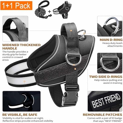 Haapaw Essential Dog Harness, No Pull Pet Vest with 3 Leash Clips, No Choke, Reflective, Adjustable and Padded, for Easy Walking and Training for Small Dogs(S, Black) - Image 2