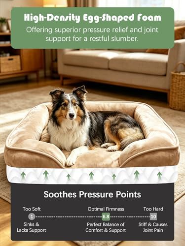 Spotted Play Orthopedic Dog Bed with Sides - Sofa Beds for Large Dogs, Supportive Foam Pet Couch Bed with Washable Removable Cover, Waterproof Lining and Non-Slip Bottom, Brown - L-Plus - Image 4