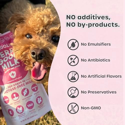 Choolip Berry Good Milk for Cats & Dogs – Lactose-Free Pet Milk Pouches – Vet-Formulated Hydrating Drink with Cranberry, CoQ10, Glucosamine & Omega-3 (200mL x 10 Pouches) - Image 6