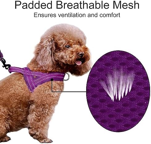 Plutus Pet No Pull Dog Harness with Front Clip, Breathable Mesh Padded - Image 3