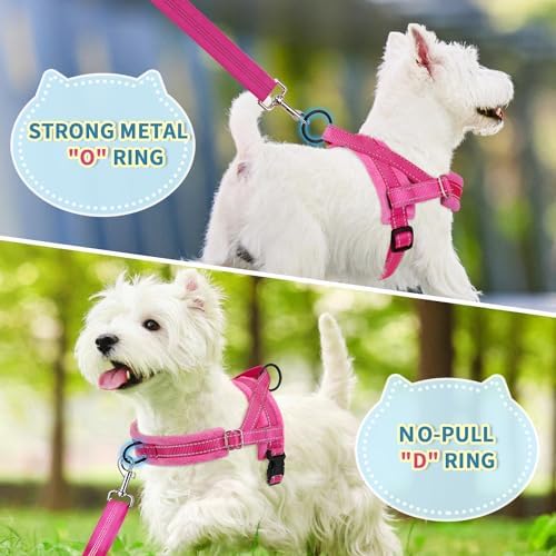 SlowTon No Pull Small Dog Harness and Leash Set with Front Clip - Image 4