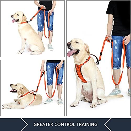 Plutus Pet Double Handle Dog Leash, 6 FT Long, for Medium Large Dogs - Image 3