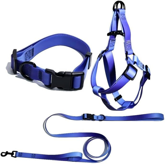 Dog Harness and Leash Set for Small Dogs, Adjustable Waterproof PVC Puppy Harness with Matching Collar and 3-Way Multifunction Leash for Walking, Training & Jogging by Unknown