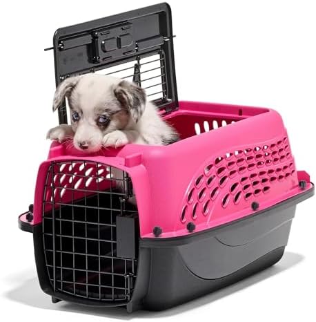 Petmate Two Door Plastic Pet Kennel, XS 19in, Pink, up to 10lbs by Petmate