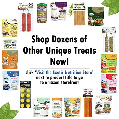 Exotic Nutrition Sugar Glider Treat Variety Pack (9.5 oz.) - Healthy Natural Sugar Glider Treat Assortment - Pineapple, Papaya, Garden Fresh Re-Hydrate, and Banana - Sampler Variety Value Package - Image 5