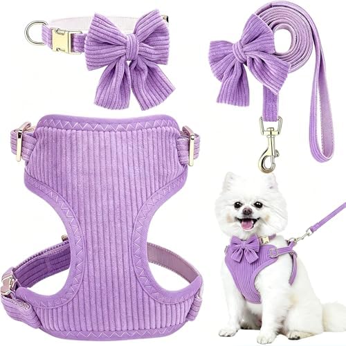 Small Dog Collar Harness and Leash Set with Bowtie, Adjustable Dog Harness Collar and Leash Set with Secure Metal Buckle, Breathable Cotton Adjustable Pet Puppy Harness, Easy Walk Harness, M(16-21") by Unknown