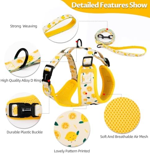 Dog Harness and Leash Set, Adjustable Dog Harness, Dog Leash, No Pull No Choke Puppy Harnesses for Walking Training for Small Medium Pet - Image 5