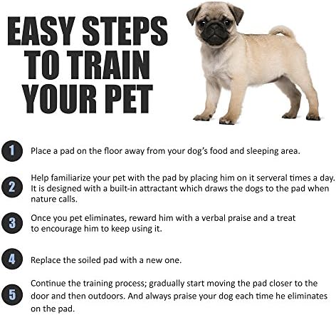 BV Puppy Pads Leak-Proof 100 Count 22"x 22" - Absorbent Pee Pads for Dogs with 6-Layer Design, Rapid Dry Sheet & Built-in Attractant - Dog Pad with Odor Control, Perfect for Puppies & Senior Dogs - Image 6