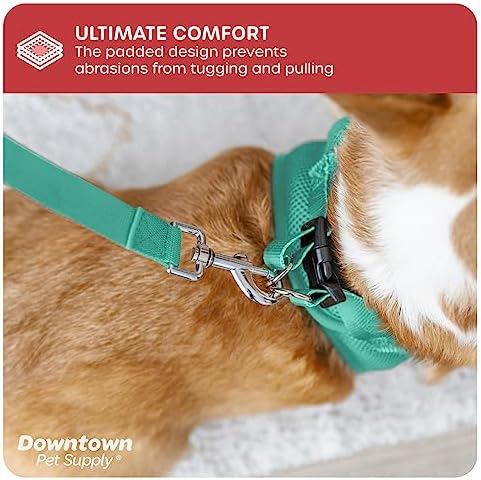 Downtown Pet Supply Step in Dog Harness for Small Dogs No Pull, Medium, Bermuda Blue - Adjustable Harness with Padded Mesh Fabric and Reflective Trim - Buckle Strap Harness for Dogs - Image 6