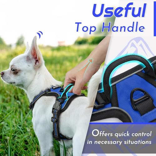 Eagloo Dog Harness for Small Dogs, No Pull Pet Vest with 2 Leash Clips - Image 4