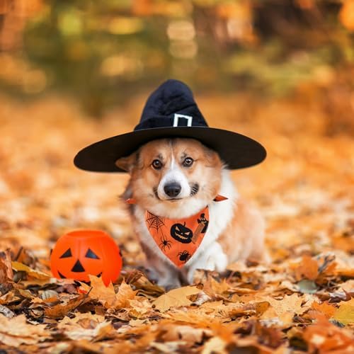 2 Pieces Halloween Dog Bandanas, Double-Sided Reversible Triangle Scarf, Cute Ghost and Pumpkin Design, Spooky Cat and Spider Pattern, Halloween Pet Costume Accessories for Dogs and Cats (Medium) - Image 4