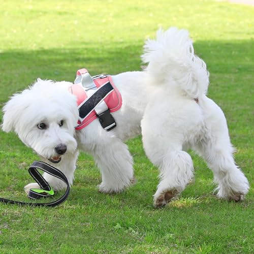 Bolux Dog Harness, No-Pull Reflective Dog Vest, Breathable Adjustable Pet Harness with Handle for Outdoor Walking - No More Pulling, Tugging or Choking - Image 5