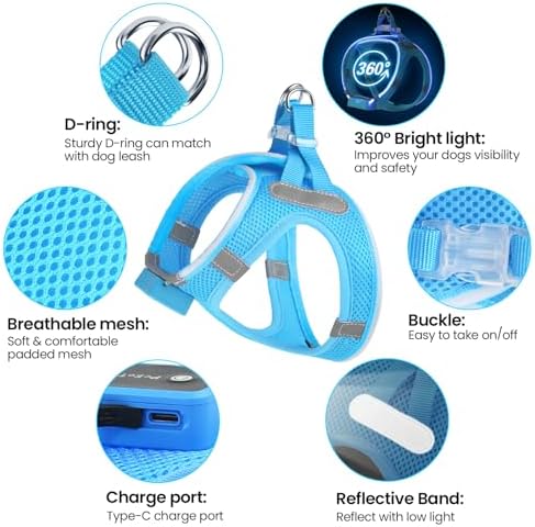 PcEoTllar Light Up Dog Harness, for Night Walking, Adjustable, Blue, L - Image 4