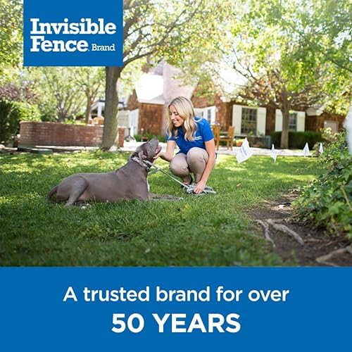 Invisible Fence Brand Power Cap Battery, 1-Pack - Image 6