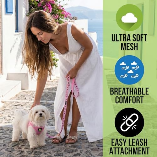 EcoBark Small Dog Harness, Luxury Soft Step in Mesh Vest, Sm, Baby Pink - Image 2