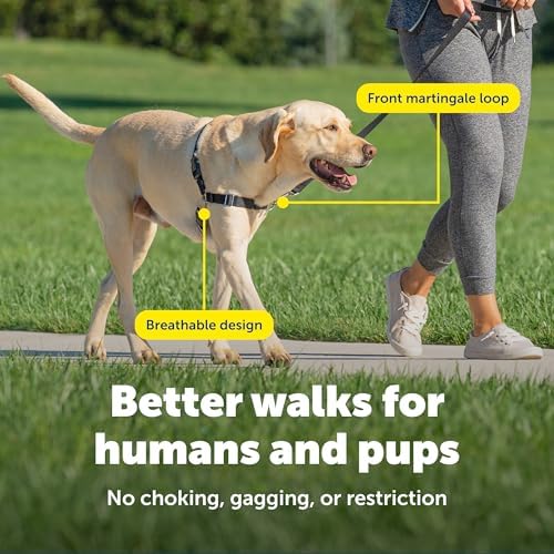 PetSafe Easy Walk Harness, No Pull Dog Harness, Teal, Medium - Image 4