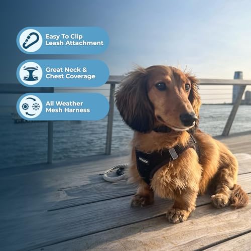 Best Pet Supplies Voyager Step-in Air All Weather Mesh Harness and Reflective Dog 5ft Leash Combo with Neoprene Handle, for Small, Medium and Large Breed Puppies - Black, XXX-Small - Image 5