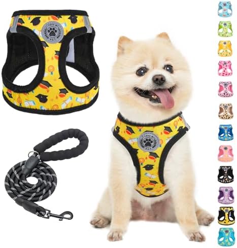 BEAUTYZOO Graduation Dog Harness Medium Size and Leash Set,No Pull Pet Vest by BEAUTYZOO