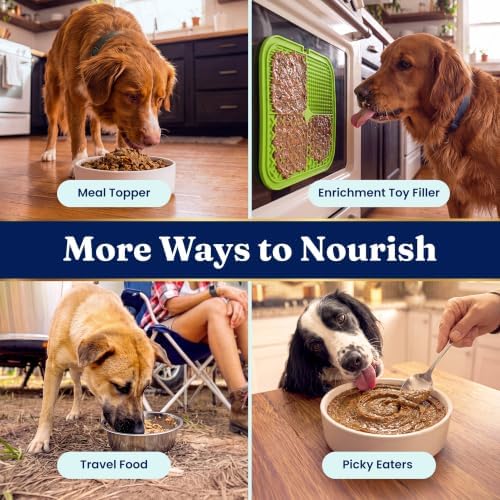 Solid Gold Dehydrated Chicken & Pumpkin Dog Food - Just Add Water Makes 4LB - Image 6