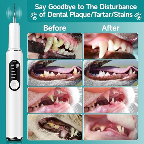Dog Teeth Cleaning Kit Dog Plaque and Tartar Remover with LED Light 5 Adjustable Modes Electric Toothbrush Pet Teeth Cleaner for Dogs and Cats (White and Blue Finger Cots) - Image 4