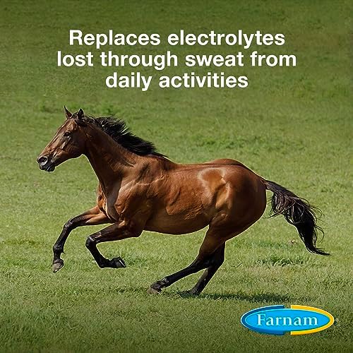 Farnam Apple Elite Horse Electrolyte Powder, Replaces Minerals Lost in Sweat During Exercise, Extreme Weather & Stressful Conditions, 5 lb., 40 Day Supply (Pack of 2) - Image 2