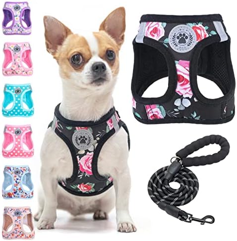 BEAUTYZOO Small Dog Harness and Leash Set, No Pull Puppy Vest- Floral, XS by BEAUTYZOO