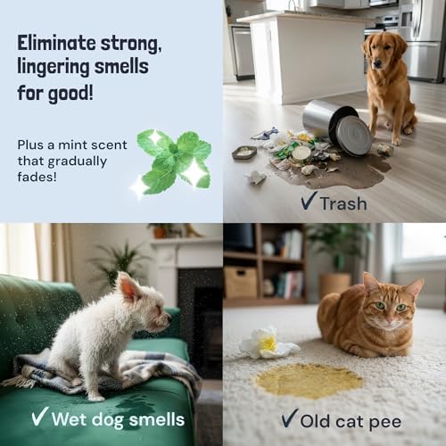 Sunny & Honey Carpet Cleaner Spray, Enzyme Pet Stain Remover, 1 Gal, Mint - Image 4