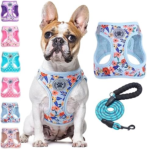 BEAUTYZOO Large Dog Harness and Leash Set,No Pull Puppy Pet Vest - Floral,L by BEAUTYZOO