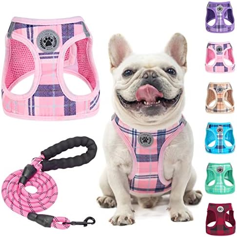 BEAUTYZOO Dog Harness Medium Sized and Leash Set,No Pull Pet Vest - Pink, M by BEAUTYZOO