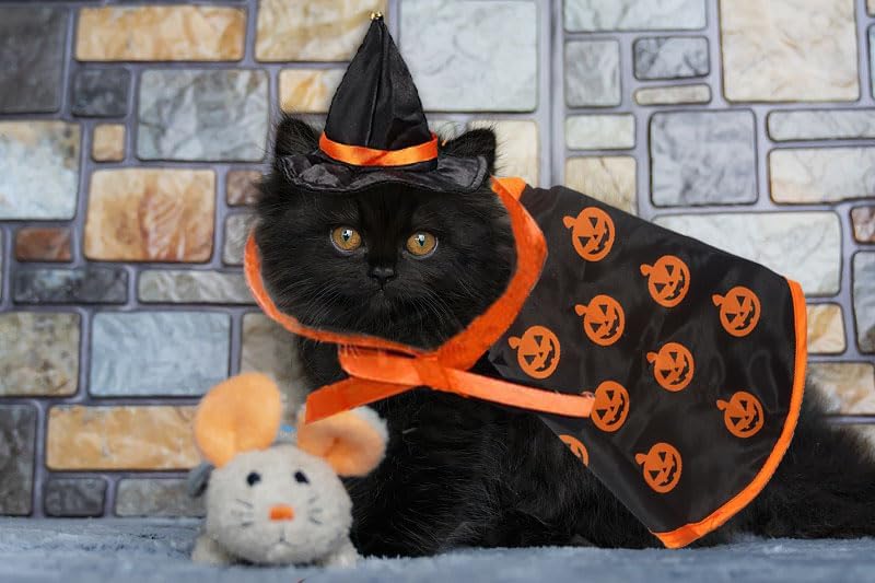Halloween Cat Costume Cloak Witch Hat Pet Accessories Halloween Adjustable Pumpkin Pet Costumes Clothes Set, Halloween pet Costume Decor Cloak for Cats Dogs Puppy Halloween Carnival Party Supplies - Image 4