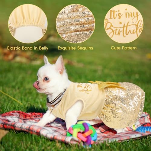 Birthday Dog Dress with Gold Sparkly Sequin Princess Dog Clothes for Small Medium Large Dogs Girls Boys Cats Outfit Apparel - Image 4