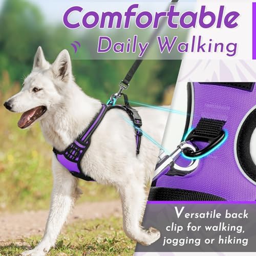 Eagloo Dog Harness for Large Dogs, No Pull Pet Vest with 2 Leash Clips - Image 3
