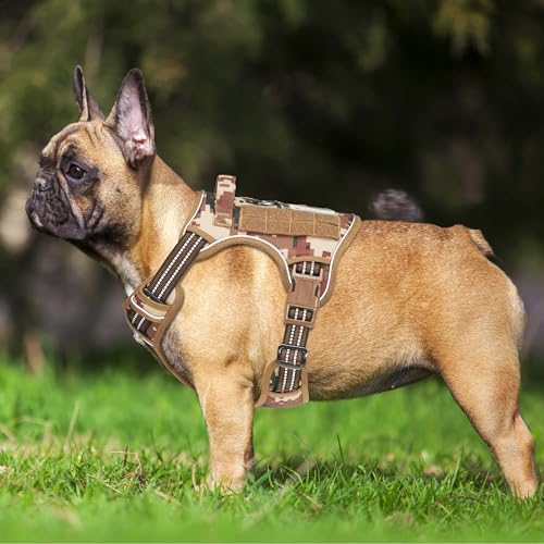 Beebiepet Tactical No Pull Dog Harness with Leash, Small, Desert Camo - Image 2