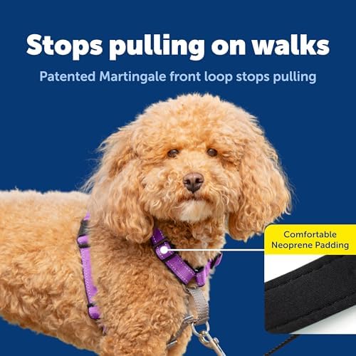 PetSafe 3 in 1 Dog Harness - No Pull Solution for Dogs - Reflective Dog Harness - Front D-Ring Clip Helps Stop Pulling - Comfortable Padded Straps - Top Handle Enhances Control - Plum - Small - Image 3