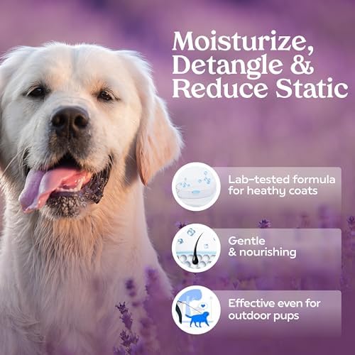 PAWFUME Dog Detangler Grooming Spray, Royal Lavender, 1-Pack - Image 2