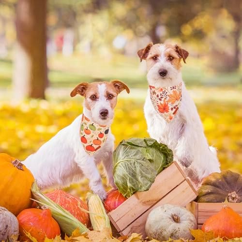 ADOGGYGO Fall Dog Bandana, Pumpkin Maple Leaf Fall Bandana for Dog, Small - Image 2