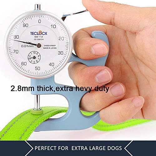 Plutus Pet Double Handle Dog Leash, 6 FT Long, for Medium Large Dogs - Image 5