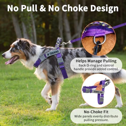No Pull Dog Harness and Leash Set, Australian Dog Harness, Service Dog Harness with Handle and 4 Reflective Patches, Adjustable Training Vest for Small, Medium and Large Dogs (Purple,L) - Image 2