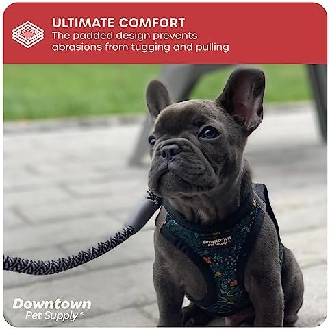 Downtown Pet Supply Step-in Dog Harness – No Pull, Adjustable Padded Mesh with Reflective Trim, Secure Buckle Strap – Comfortable & Breathable Small Dog Harness, Small, Dinosaur - Image 6