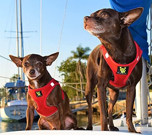 EcoBark Step in Dog Harness - Eco-Friendly Teacup Dog Harnesses for XS and Small Dogs - Reflective and Adjustable Mini Body Halter Vest -Tiny Soft Mesh Toy Breed Harness (Red, XS) - Image 3